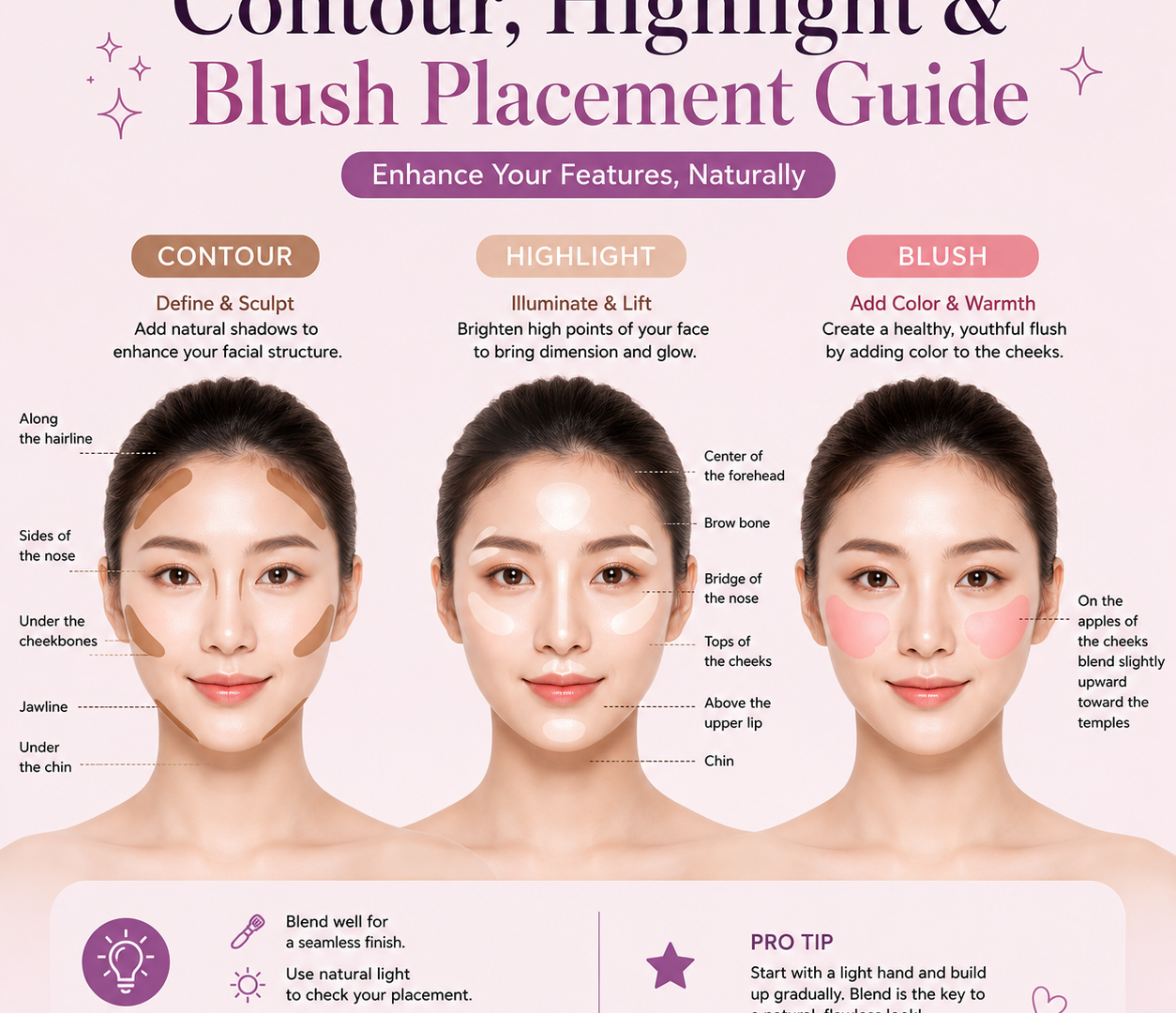 Contour, Highlight & Blush Placement Guide